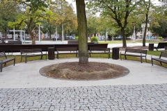 Gorzów-Wlkp-3